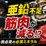 亜鉛不足で筋肉が減る？