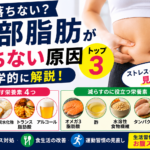 腹部脂肪が落ちない原因