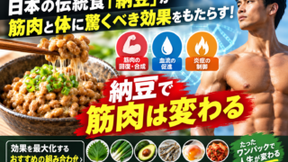 納豆の筋肉への効果